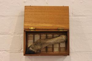 The Undertaker - Deer hoof, vintage microscope slides, box installation. www.leacockgallery.com