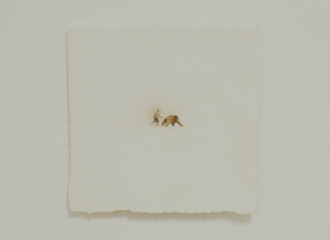 Shedding Life - watercolor & gouache, 30 x 30 cm, SOLD